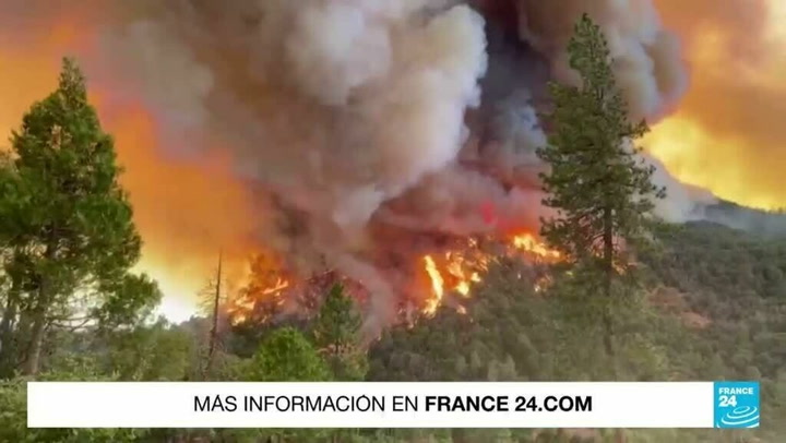 California declara  estado de emergencia por avance de incendios forestales 