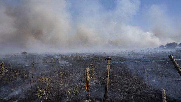 España en alerta , mortal incendio forestal consume 27,000 hectáreas 