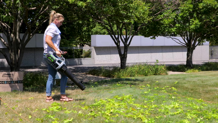Artificial Grass Vacuum Cleaner, Garden and Outdoor Vacuums