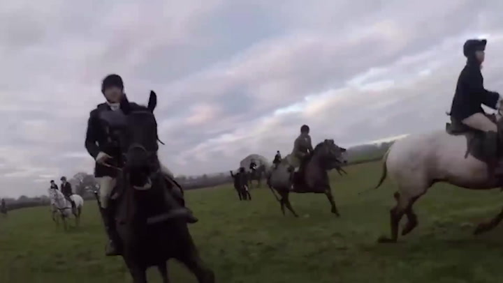 Hunt saboteur trampled by horse as group of riders stampede over him