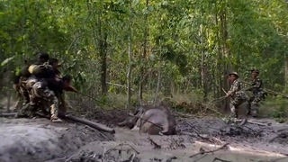 Wildlife officers help baby elephant stuck in mud in Thailand forest