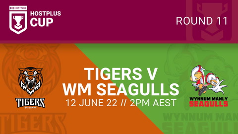 Brisbane Tigers v Wynnum Manly Seagulls