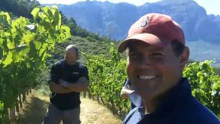 In the Vineyard at Thelema