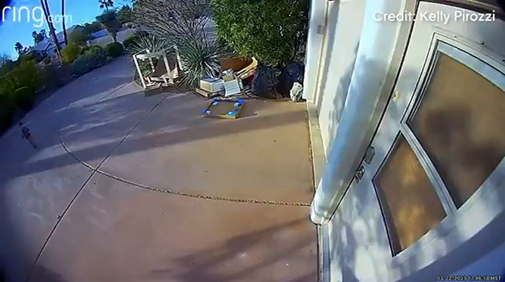 Así fue el ataque de un coyote a un niño en Arizona