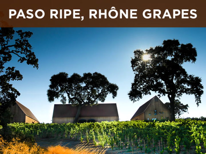 Paso Ripe, Rhone Grapes with Austin Hope