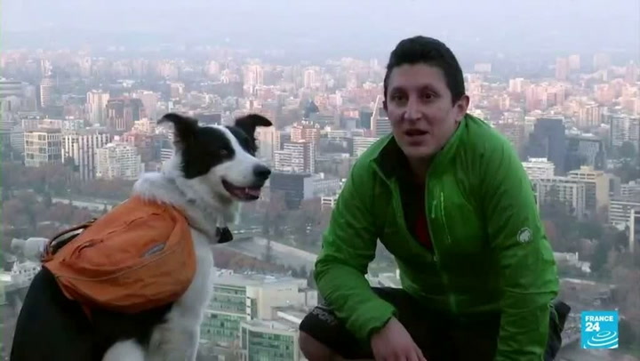 Este es ‘Sam’ el perro que protagoniza una exitosa campaña sobre el reciclaje en Chile 