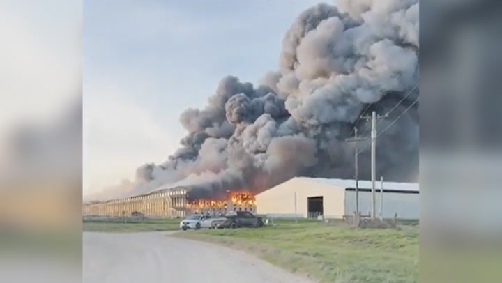 US: Massive Fire Erupts At Feather Crest Chicken Farm In Kurten, TX 2