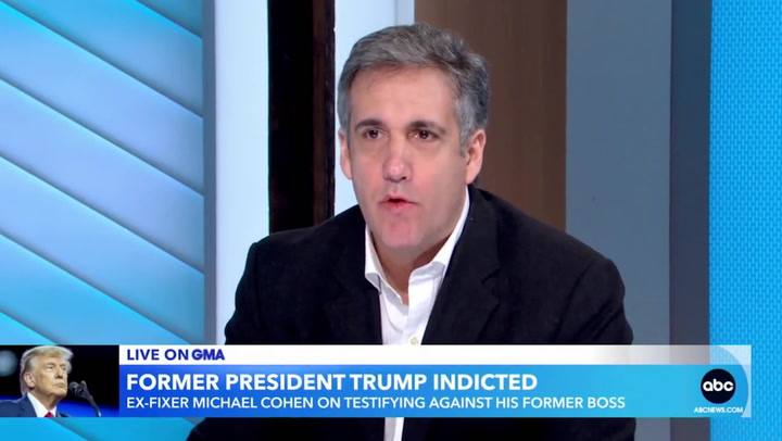 Michael Cohen calls Donald Trump's legal team a 'clown show of counsel'