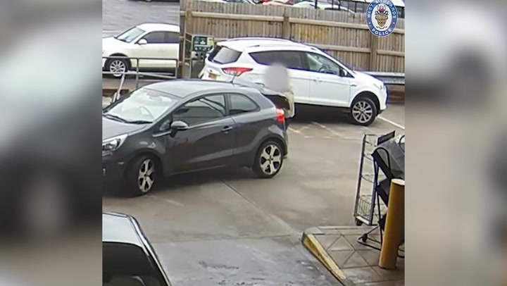 CCTV shows gang of thieves preying on drivers as they refuel