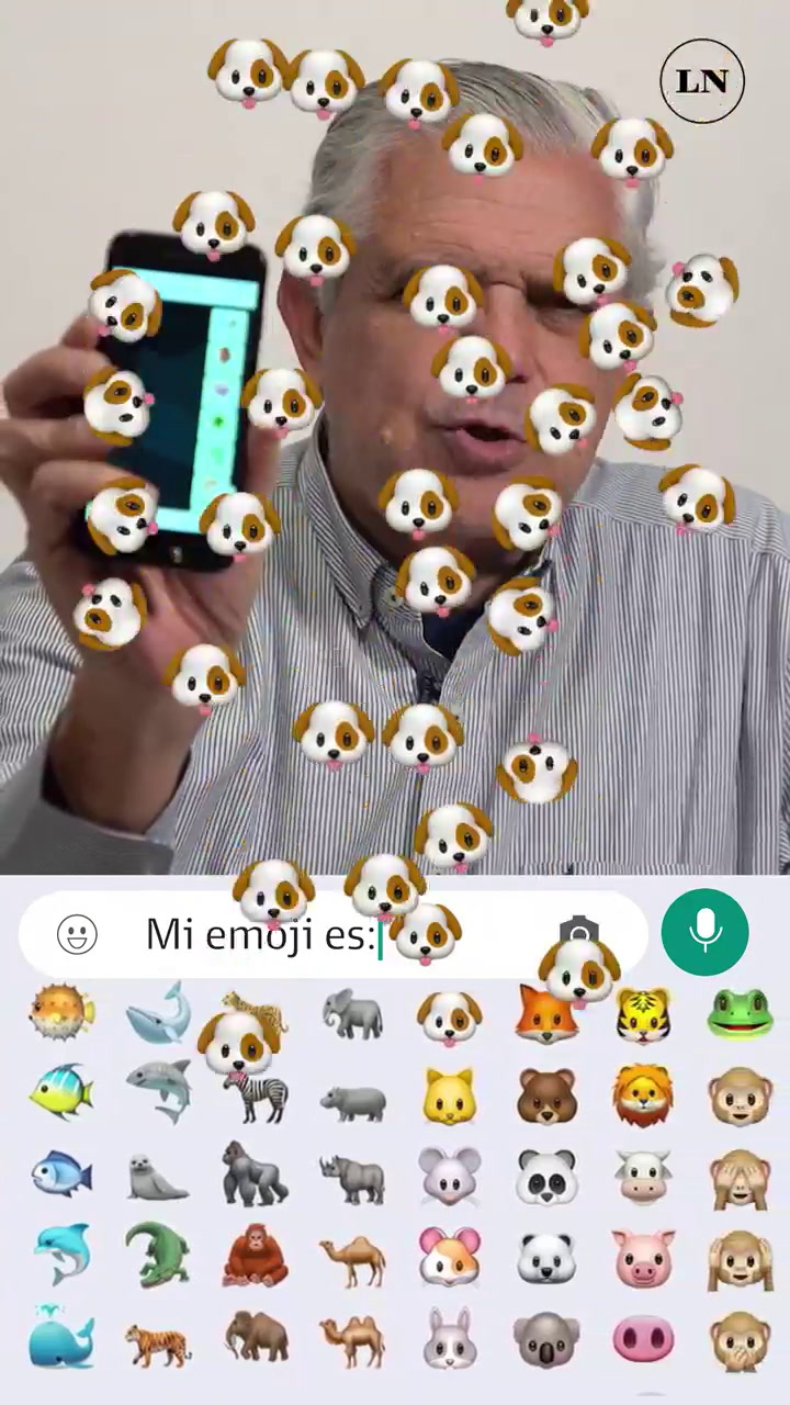 López Murphy, definiciones en emojis.