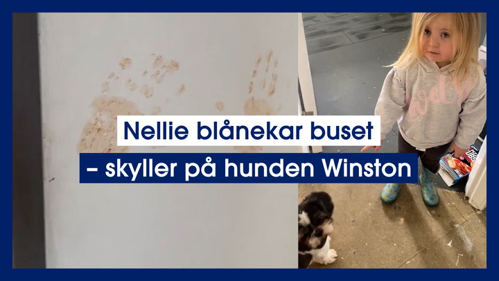 Nellie blånekar buset – skyller på hunden Winston