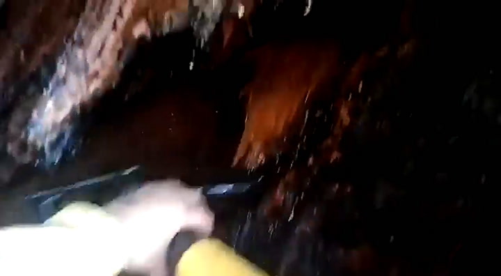 Bombera de Neuquén se metió dentro de una araucaria que se quemaba para evitar un incendio