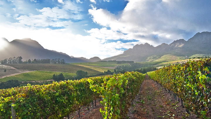 Wine Star Jean Engelbrecht: South Africa's Wine Ambassador