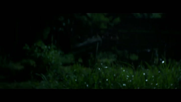 Trailer de la película “La odisea de los giles” - Fuente: YouTube