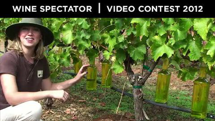 Video Contest 2012, Honorable Mention: Wine Growing 101