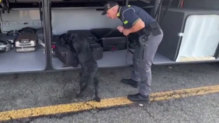 Italian police dog sniffs out $1 million in cash hidden in luggage