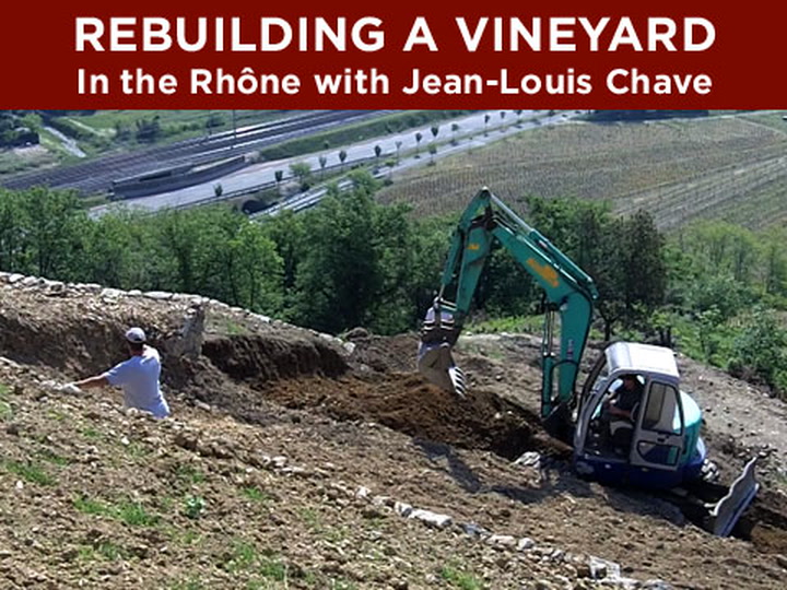 Rebuilding a Vineyard in the Rhône
