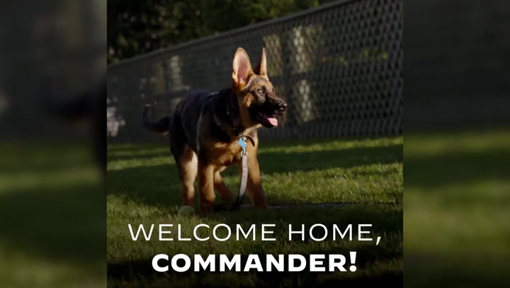 Biden welcomes new puppy ‘Commander’ to White House