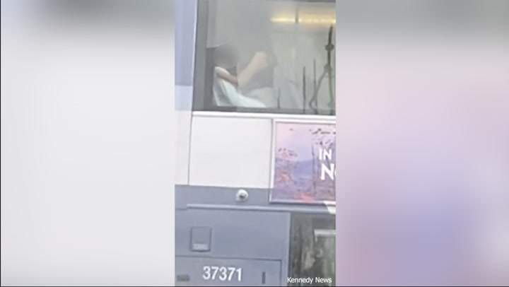 Bus sex i Bus Sex