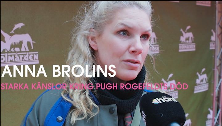 Anna Brolin om Pugh Rogefeldts död: ”Tragiskt”