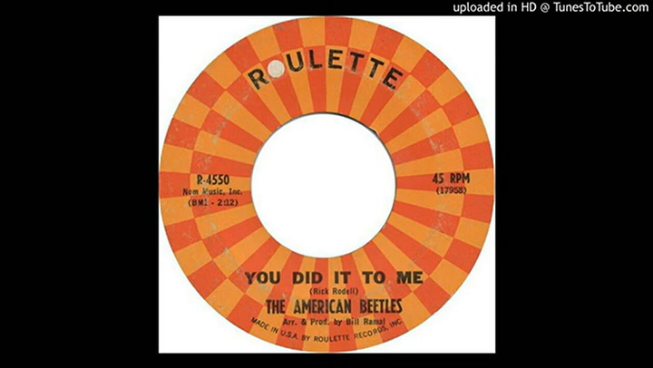 The American Beetles – 'You Did It to Me' (1964)