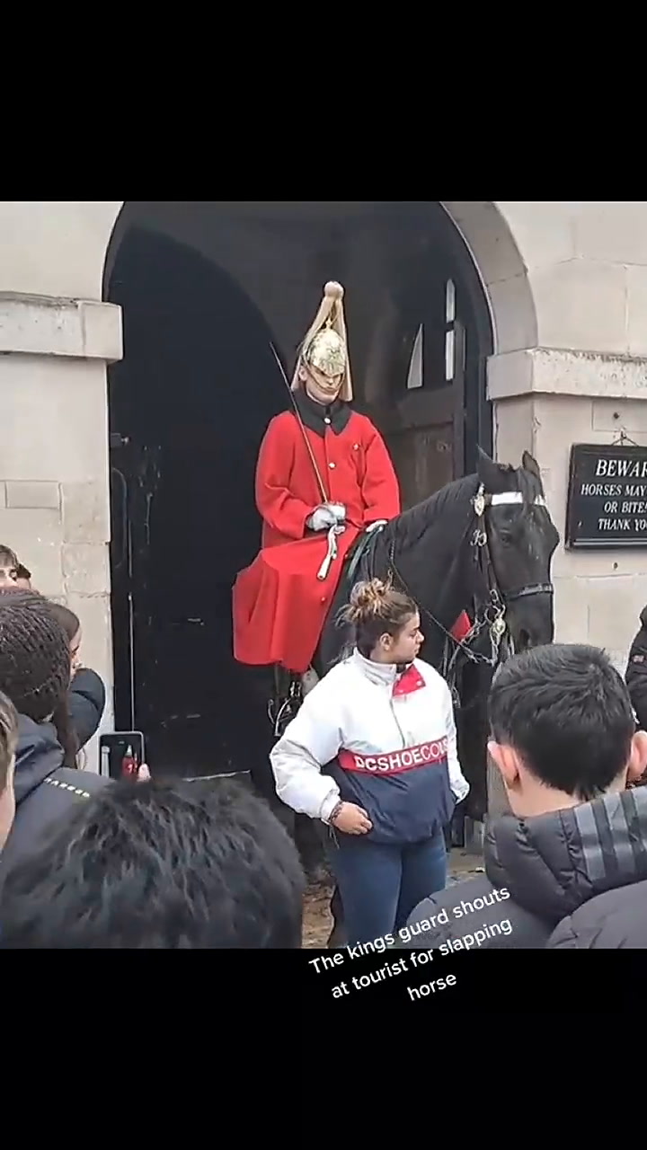 La violenta reacción de un guardia real con un turista que tocó su caballo