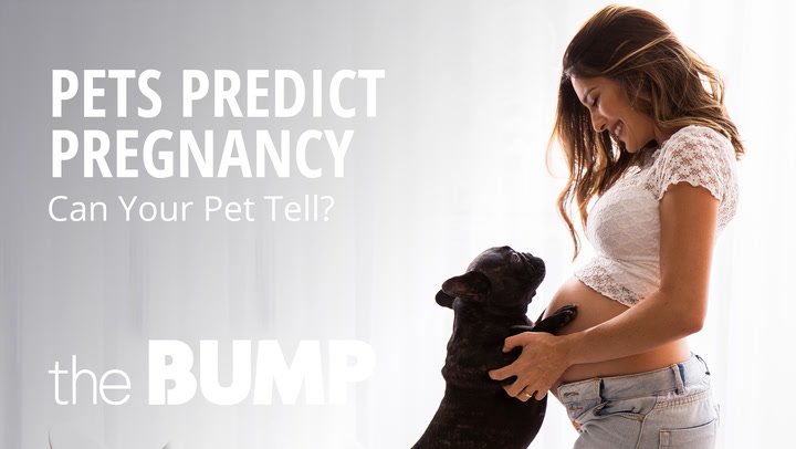 5 Ways Pets Can Be Bad (or Good!) For Your Pregnancy