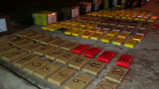 Argentina: Police find 150kg of cocaine in lorry transporting wood