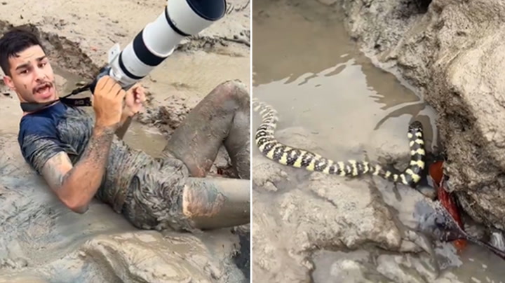 Stunned Photographer Captures Rare Sea Snake Sighting!