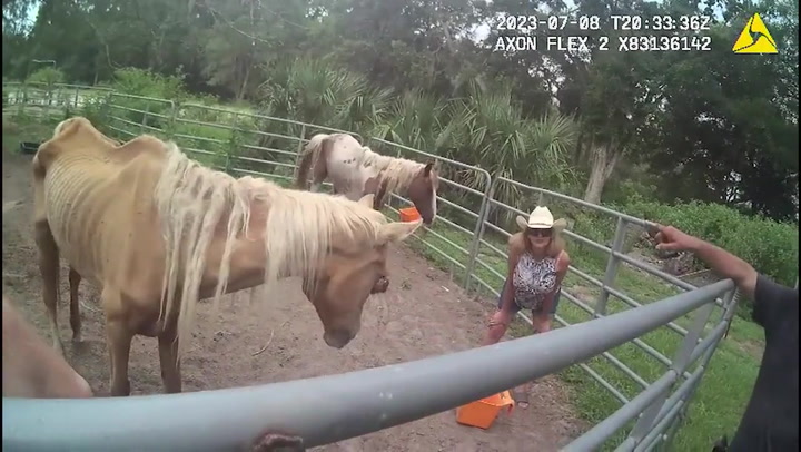 Sheriff's deputies rescue four malnourished and neglected horses living on Florida farm