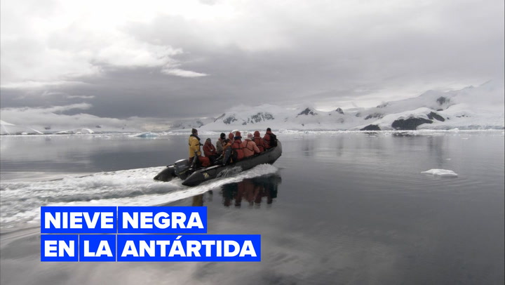 Estas manchas negras sobre la Antártida preocupan a ambientalistas 