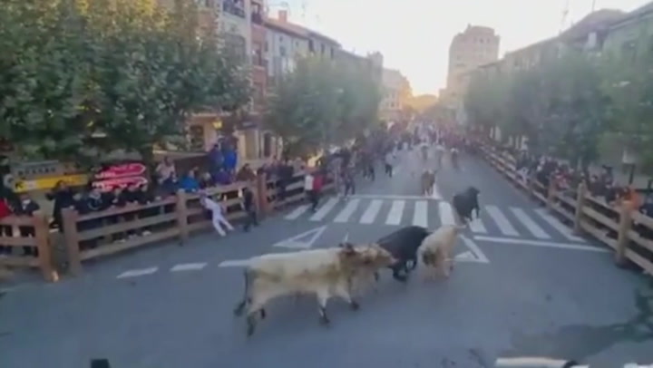 Horned-bulls run through Spanish streets during yearly tradition