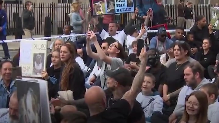 XL bully owners rally in central London in protest against prime minister's proposed ban