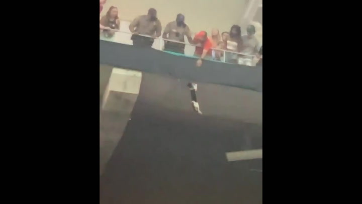 Crowd break cat’s terrifying fall from stadium upper deck with American flag