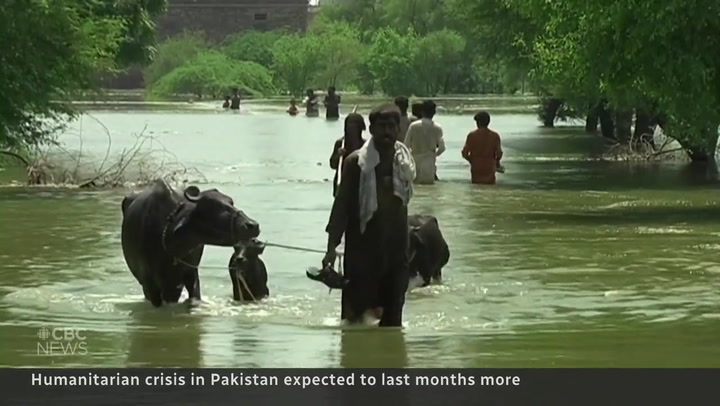 Pakistan braces for more rain as displaced families plead for help