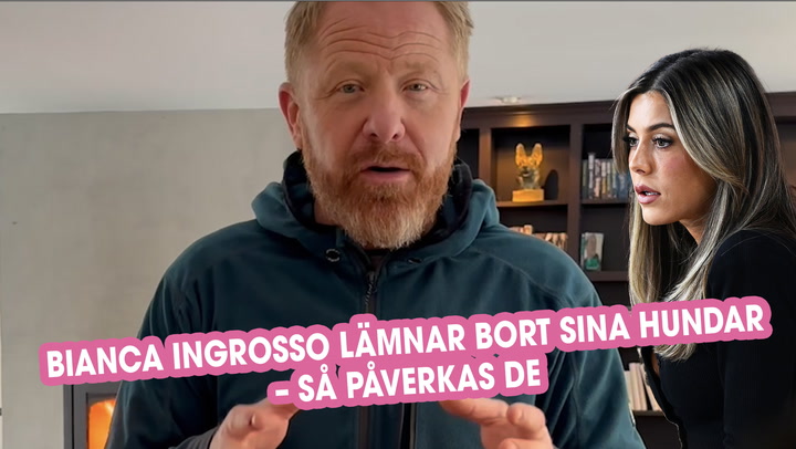 Hundcoachen Fredrik Steen om att Bianca Ingrosso lämnar bort sina hundar – så mår de