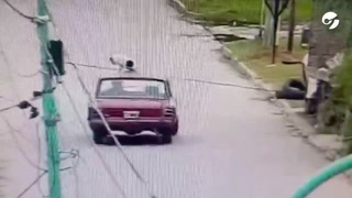 La Plata. Un hombre manejó con un perro sobre el techo del auto