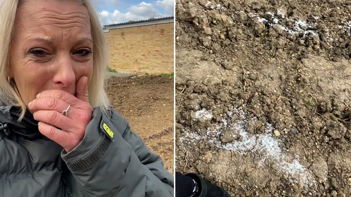 Woman who gives out free meals left in tears after allotment is ‘destroyed’