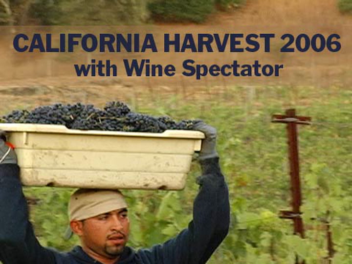 CA Harvest 2006