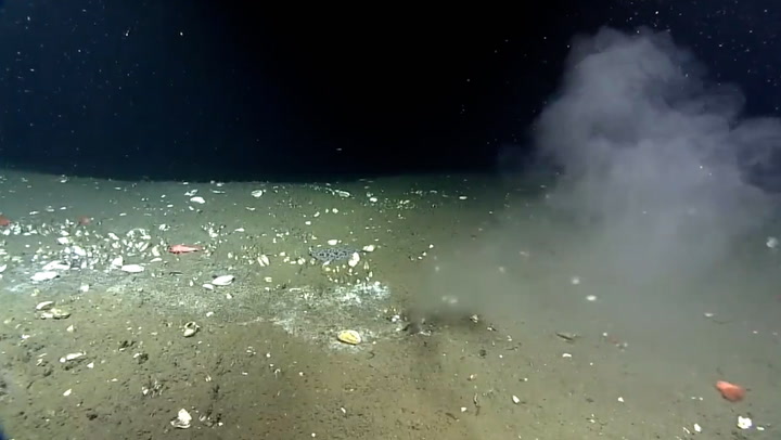 Leak at bottom of Pacific which could trigger huge earthquake captured in underwater footage