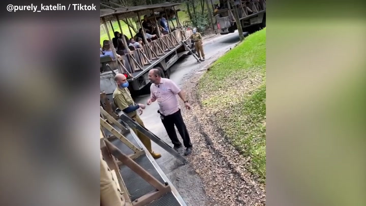 Tiktoker films evacuation from lion enclosure in Disney’s Animal Kingdom in Florida