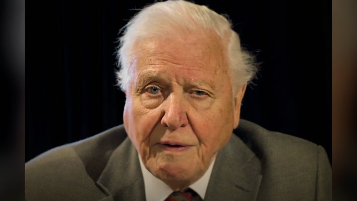 Attenborough addresses world leaders as G7 summit draws to close