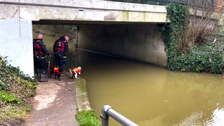 Leicester: Police dogs continue search for missing toddler in river