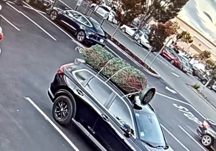 El insólito robo de un árbol de Navidad de una camioneta en California