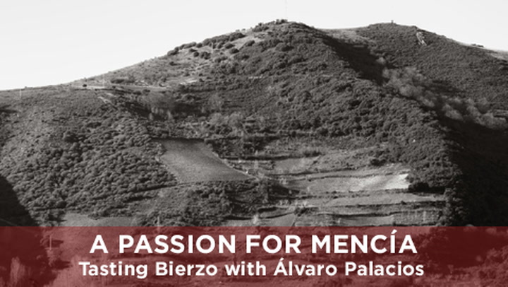 A Passion for Mencía: Tasting Bierzo with Alvaro Palacios