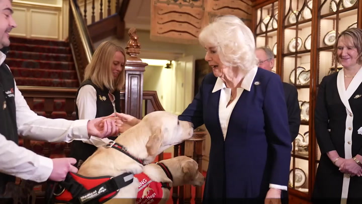 Queen meets medical detection dogs as she calls for greater use | Lifestyle