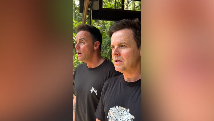 Ant and Dec stunned as they enter I'm A Celebrity jungle