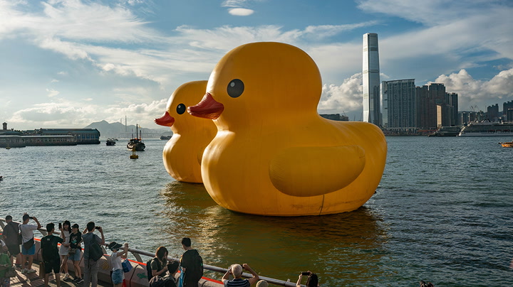 Giant 18m inflatable ducks return to Hong Kong after ten years