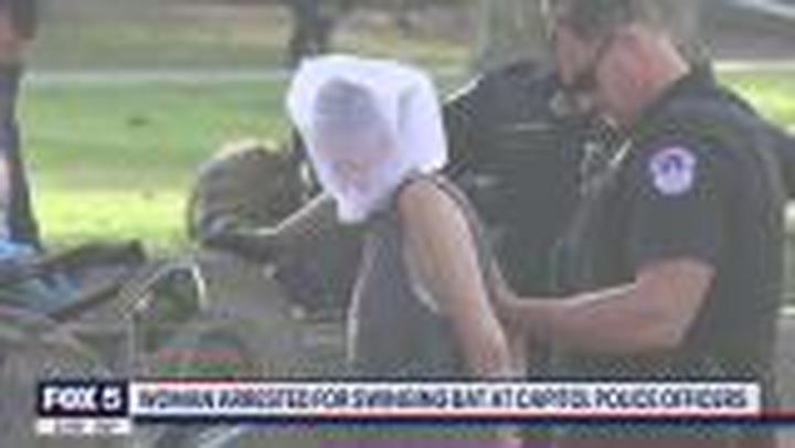 Us Capitol Police Officer Attacked By Woman Holding Baseball Bat Us News Independent Tv 