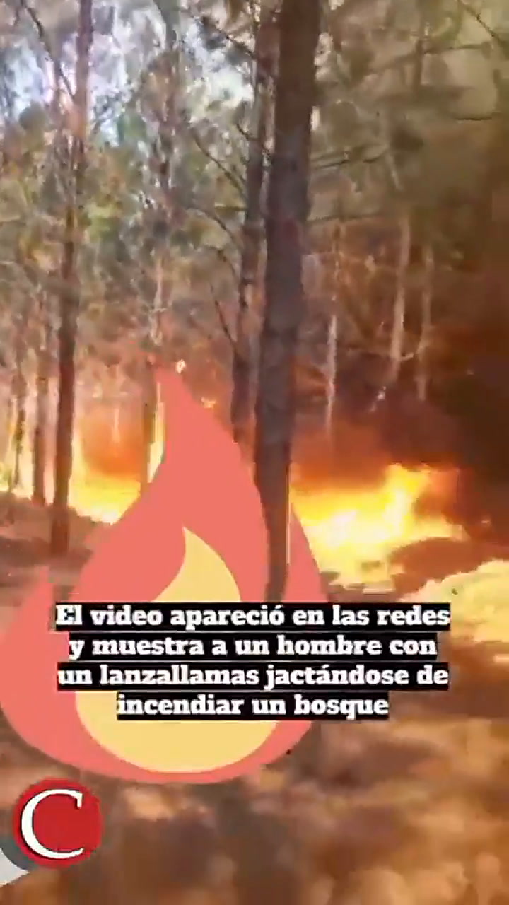 Se filmó al quemar un bosque de Corrientes con un lanzallamas